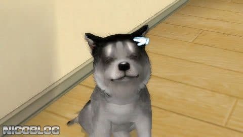 Petz: Dogz Family screenshot 5