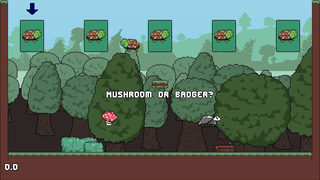 TurtleRun screenshot 5
