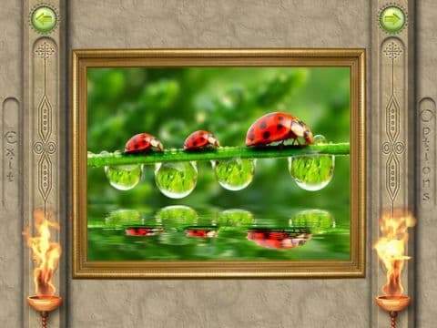 FlipPix Jigsaw - Small World screenshot 6