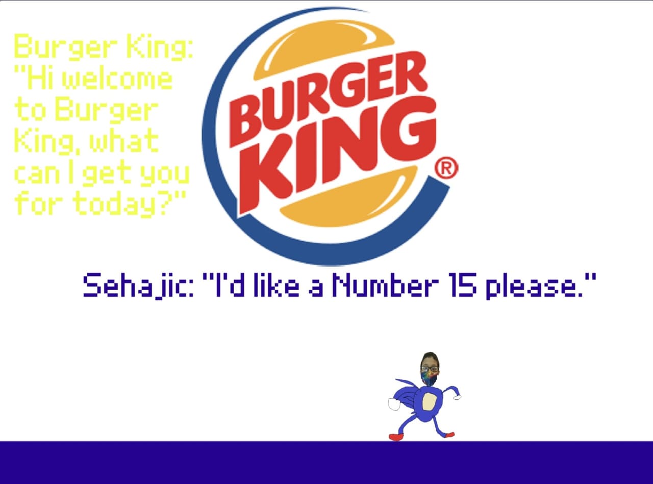 Sehajic the Hedgehog: Celebration Edition screenshot 3