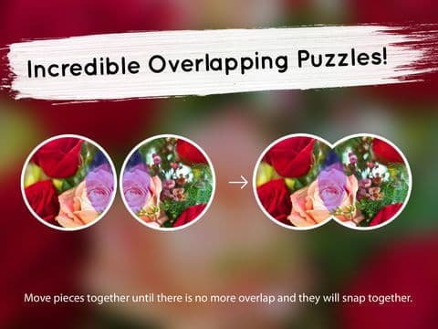 Venn Valentines Day: Overlapping Jigsaw Puzzles