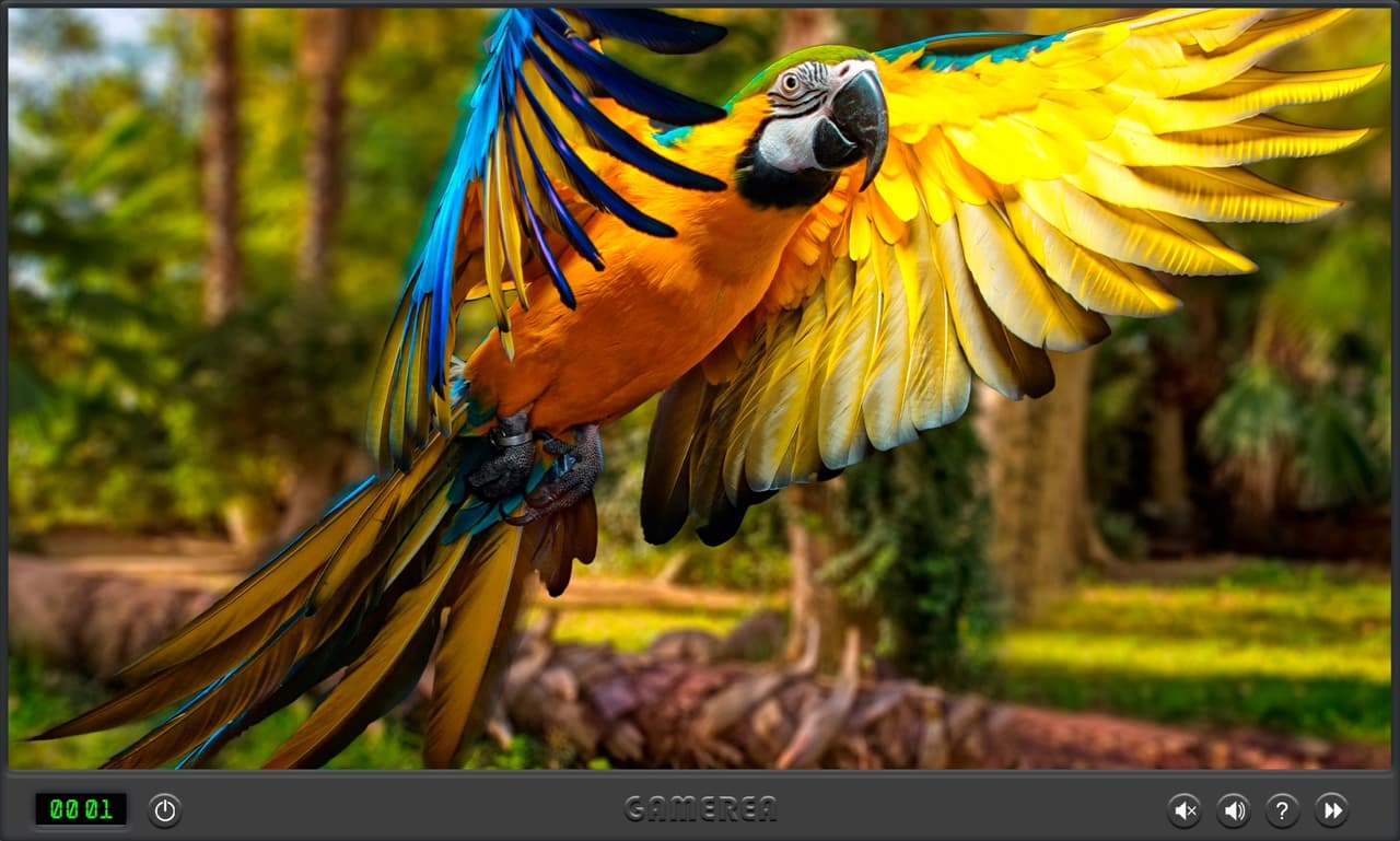 Animals Of The World screenshot 2