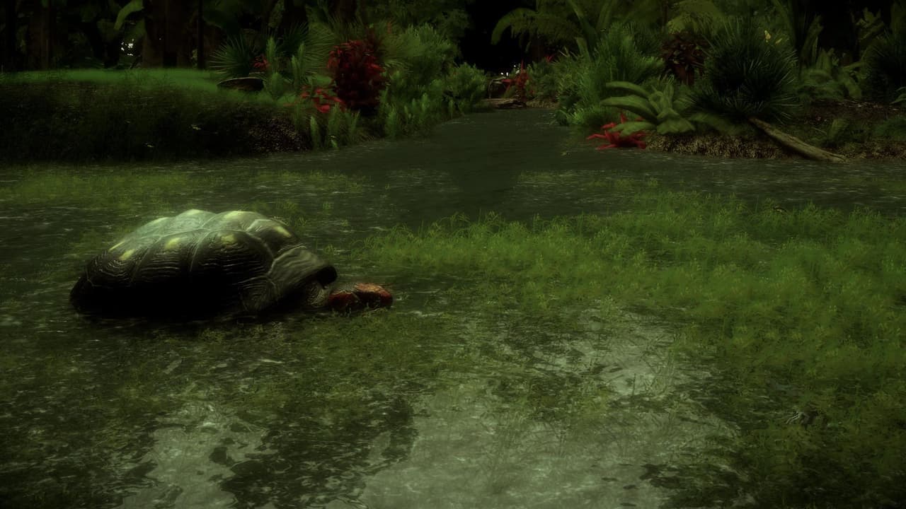 The Red-Footed Tortoise screenshot 5
