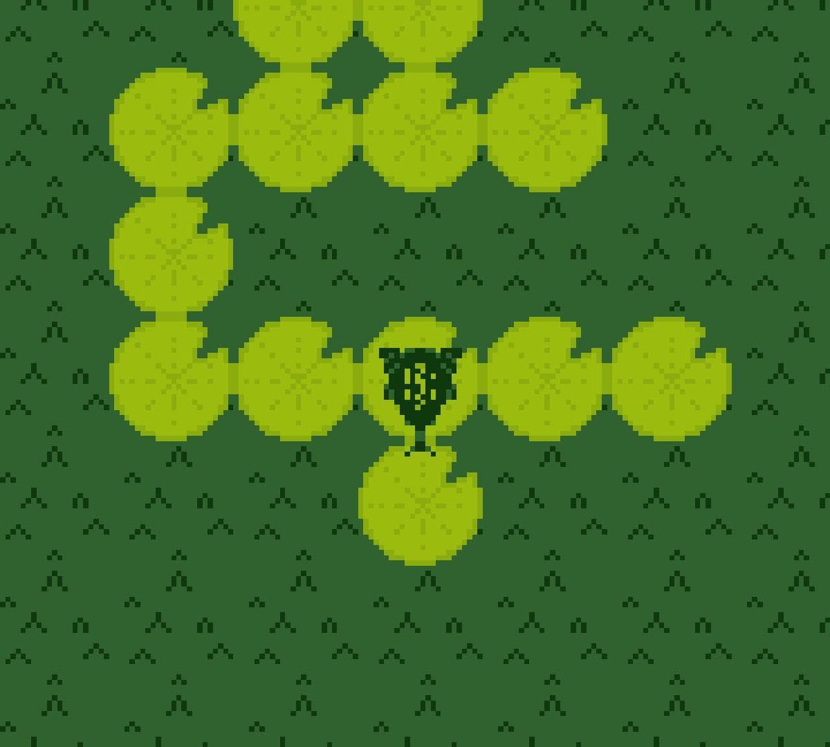 The Frogs Journey
