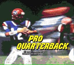 Pro Quarterback screenshot 6