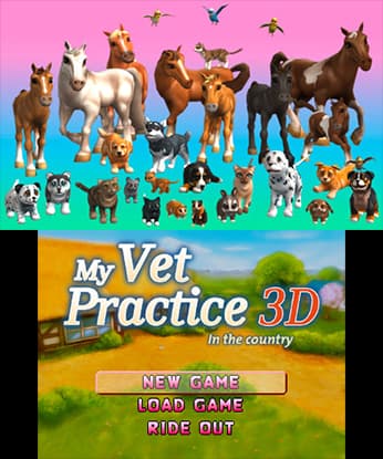 My Vet Practice 3D - In the Country screenshot 2