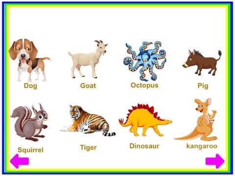 Animals Learn, Identify & Puzzle game for Toddler & Preschool kids screenshot 3