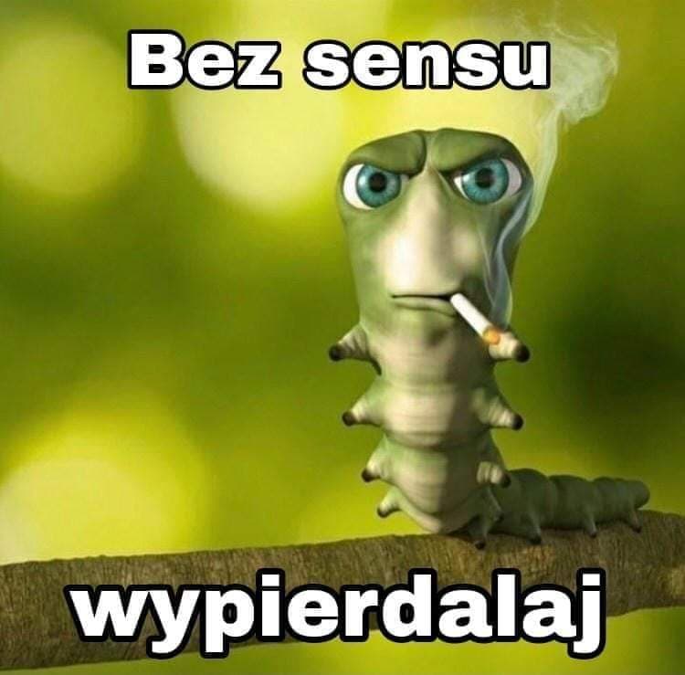 Shrek Attak qzeq Golden edition screenshot 3