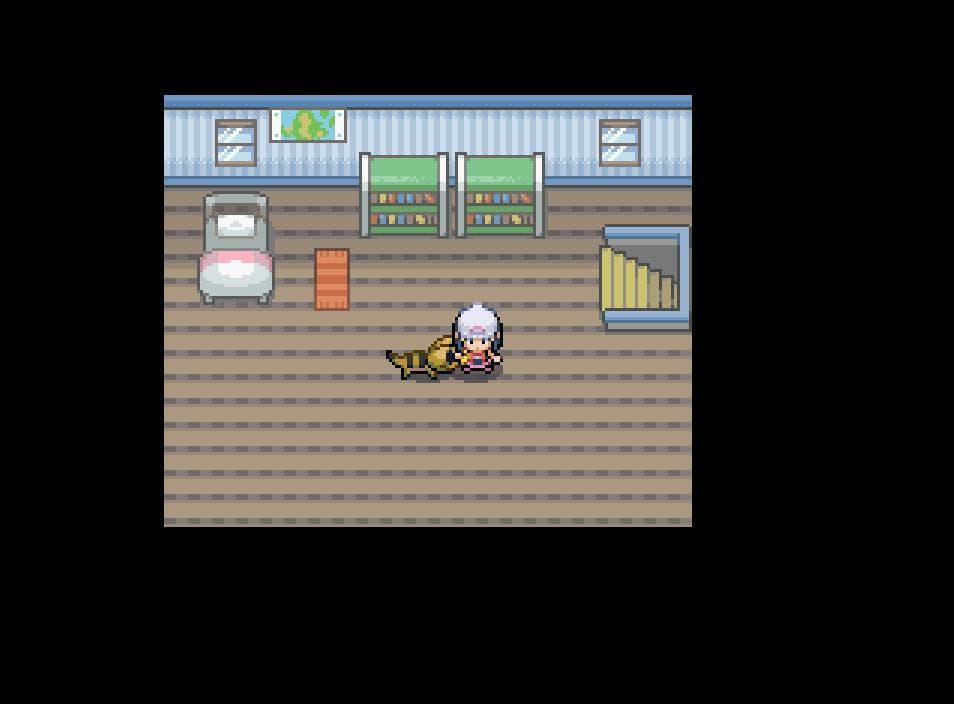 Pokemon Winterthur Edition screenshot 2