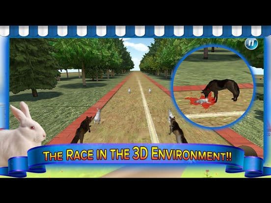 Subway Dog and Angry Rabbit Endless Running Race: Wacky Obstacles and Temple Surfers