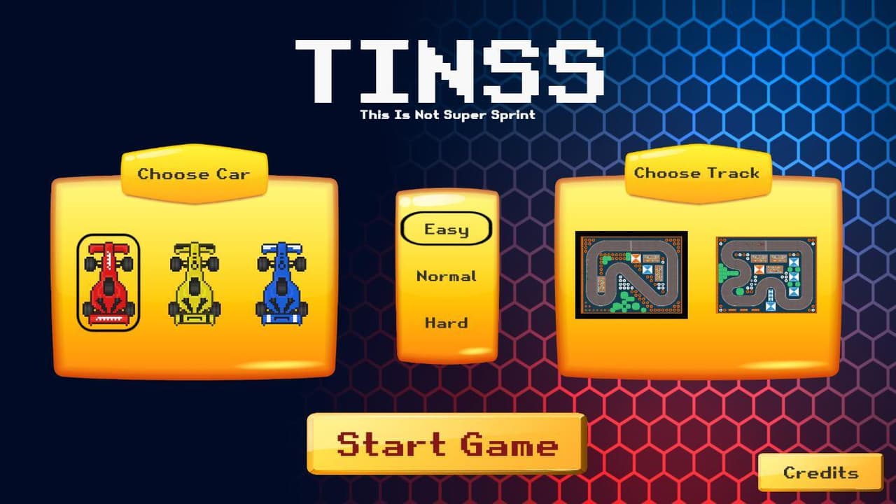 TINSS