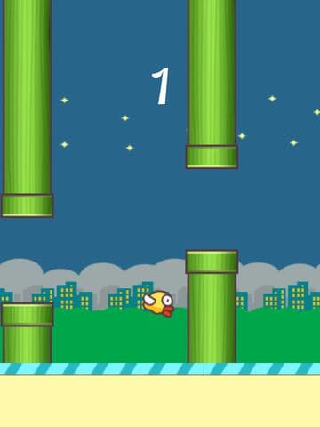 Fly Birds-Make Them Bouncing Jump
