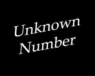Unknown Number (Twine)