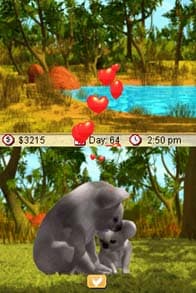 Paws & Claws Pet Vet Australian Adventures screenshot 3