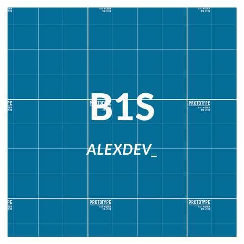 B1S