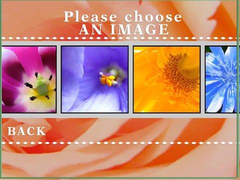 A Flower Puzzle Game screenshot 3