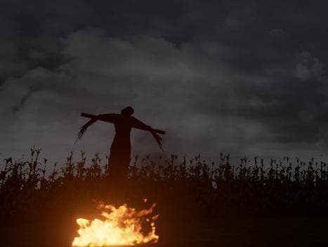 The Field (Sinister Twist Games) screenshot 4