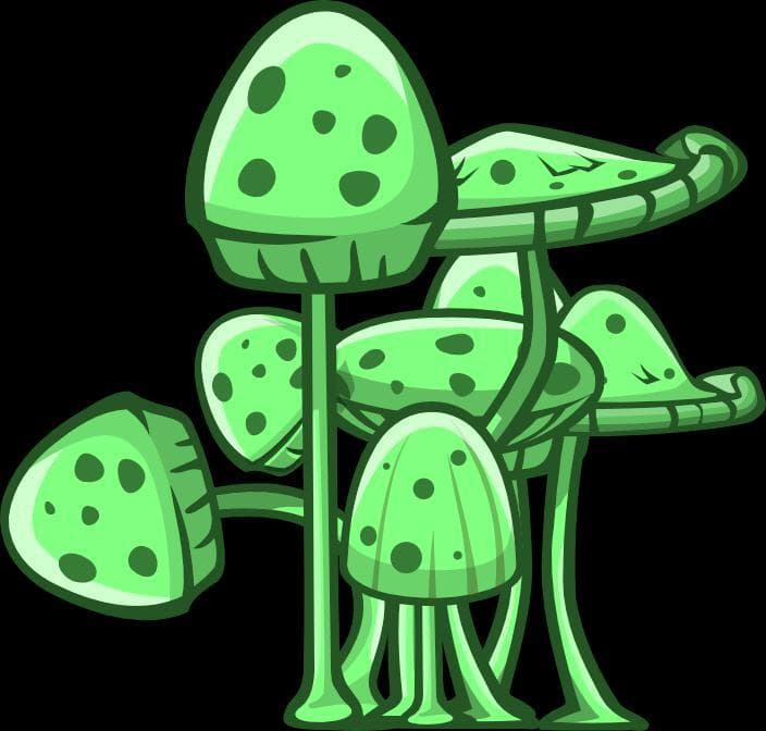 fantastic Funghi