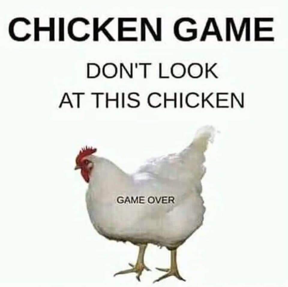 CHICKEN GAME (TXV123)