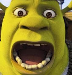 Shreks Wonderland