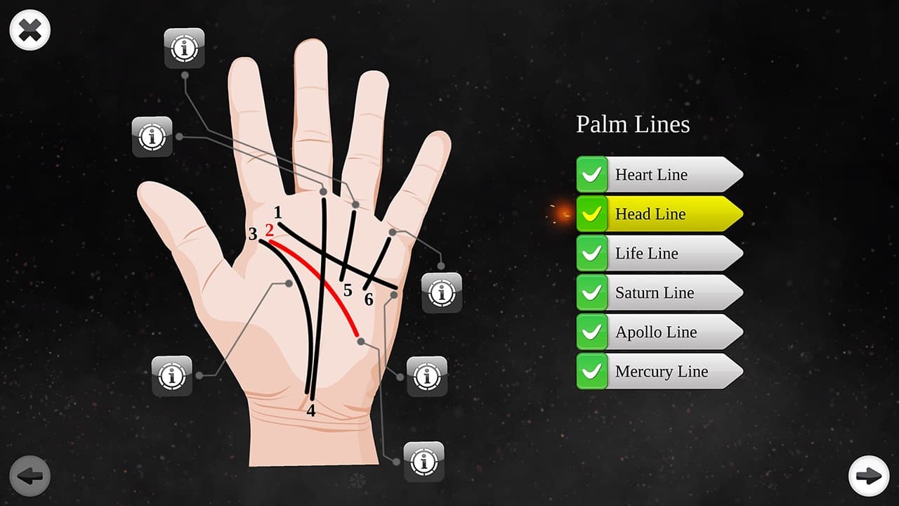 Palm Reading Premium screenshot 3