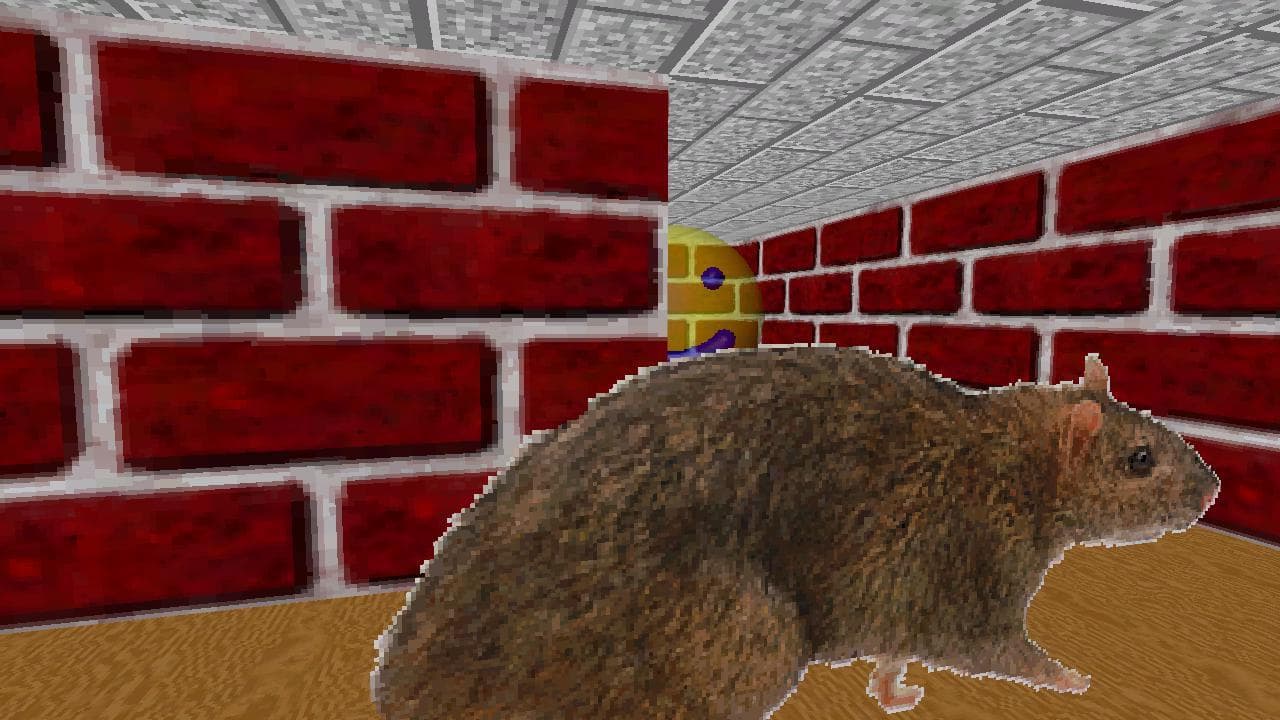Screensaver Subterfuge screenshot 4