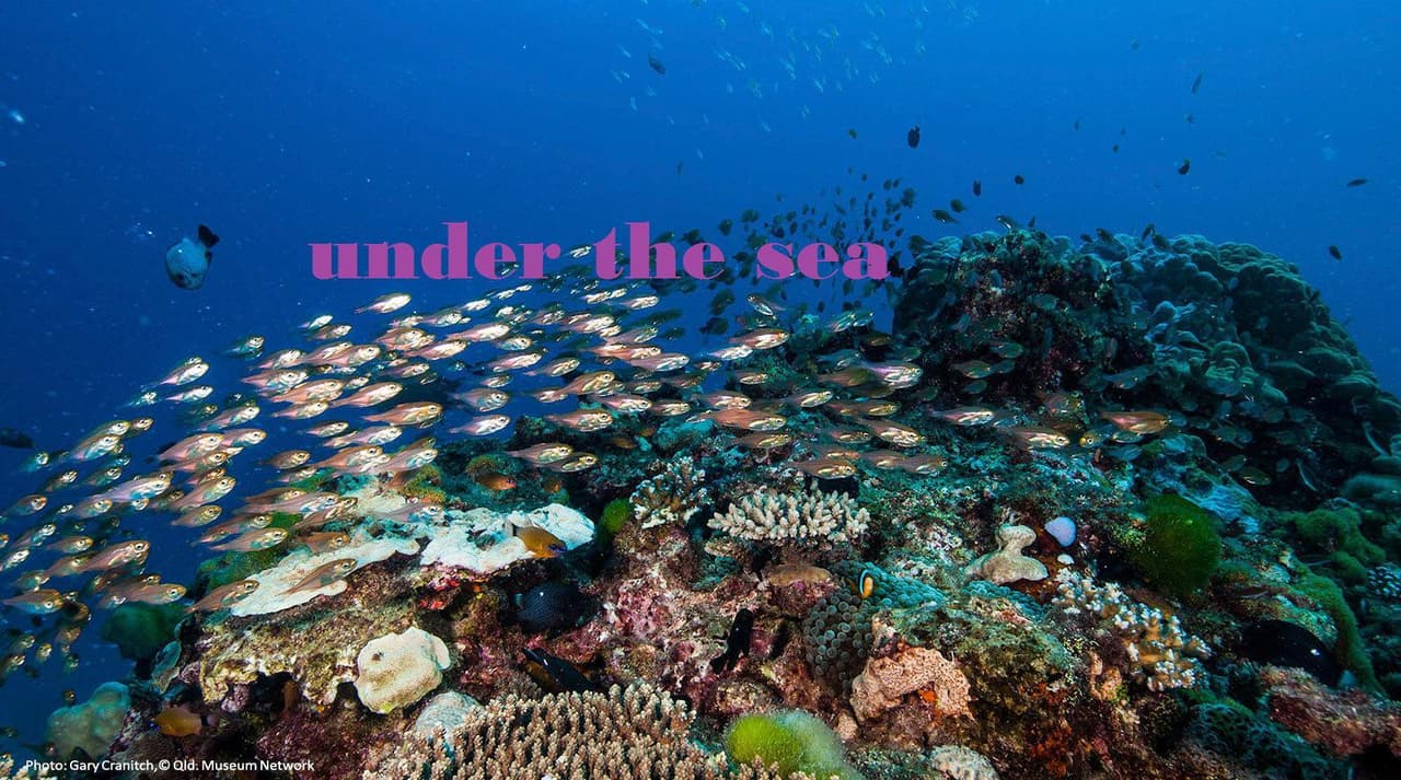 Under The Sea (Maker School)