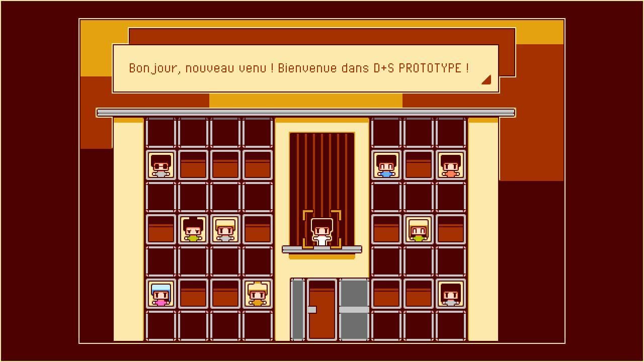 D+S PROTOTYPE [Fr]