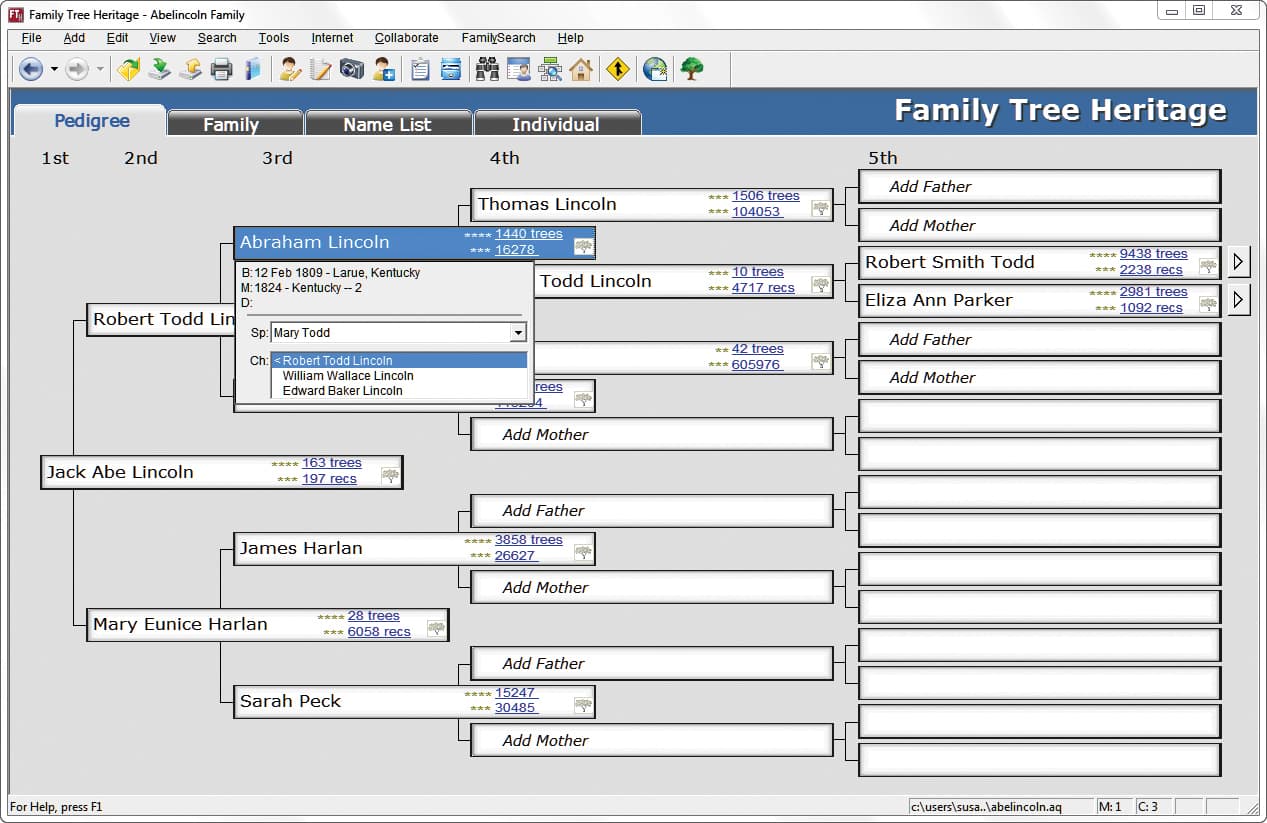 Family Tree Heritage Platinum 9 screenshot 5
