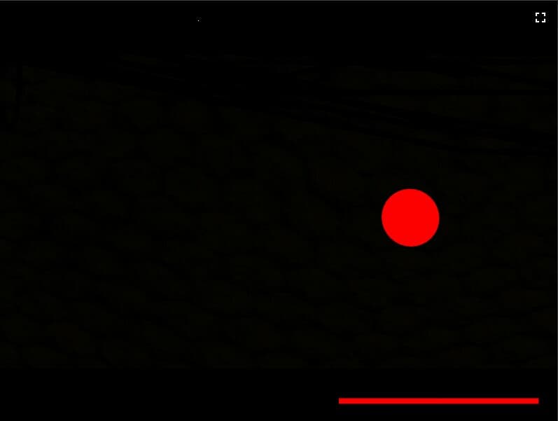 PONG: Reborn BOUNCING BALL