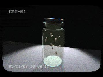 flies in a jar screenshot 2