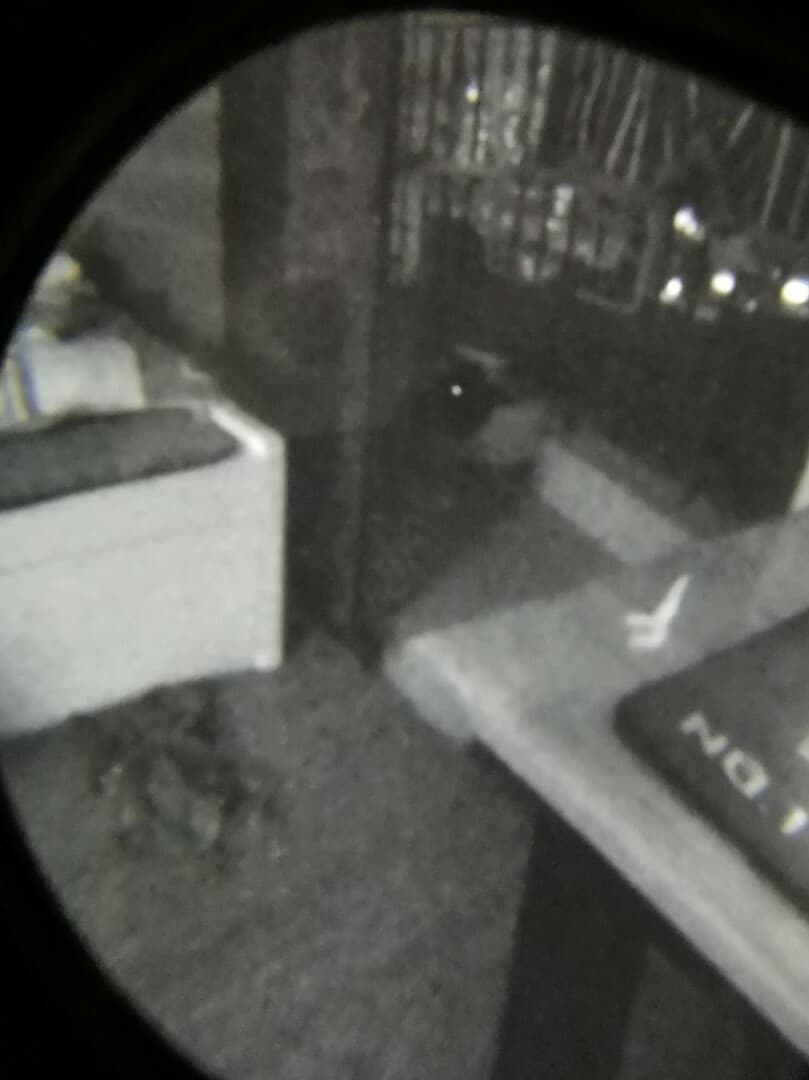 Day Scanner: Iteration 1