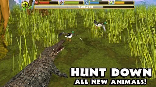 Wildlife Simulator: Crocodile