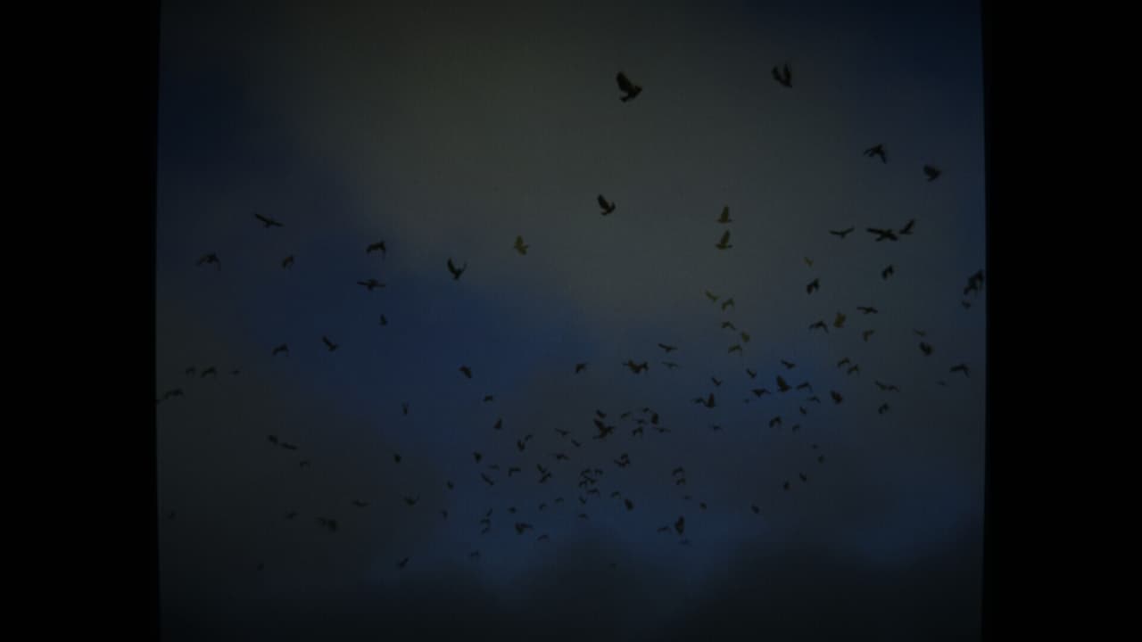 .redruM screenshot 3