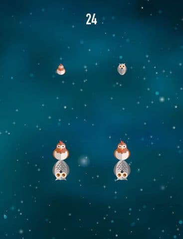 Night Owl Flight screenshot 3