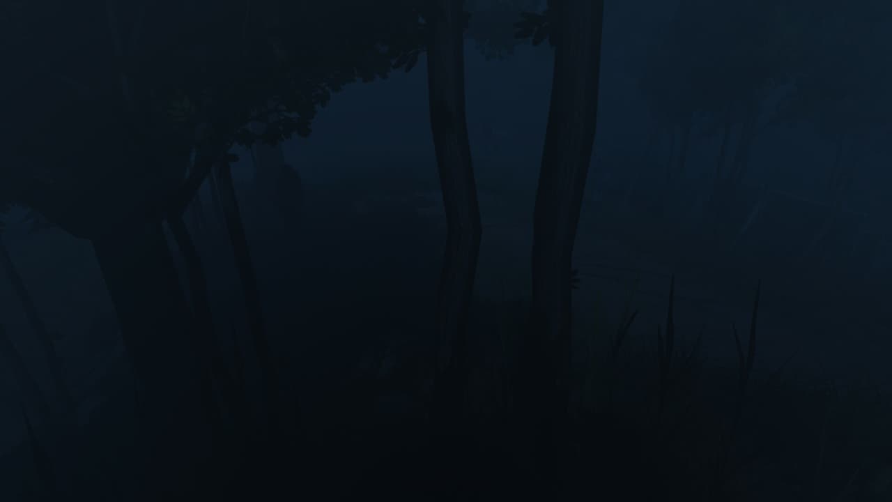 Hunting For Trump