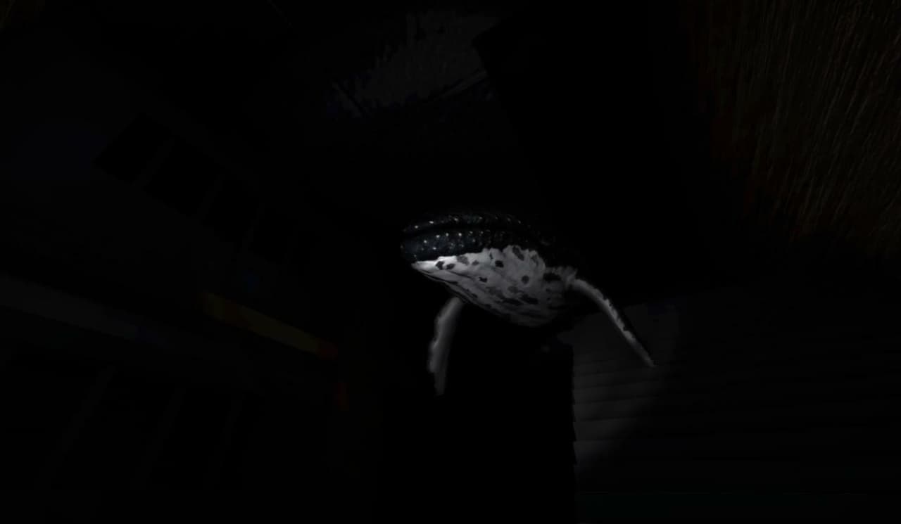 Humped Back Wale screenshot 4