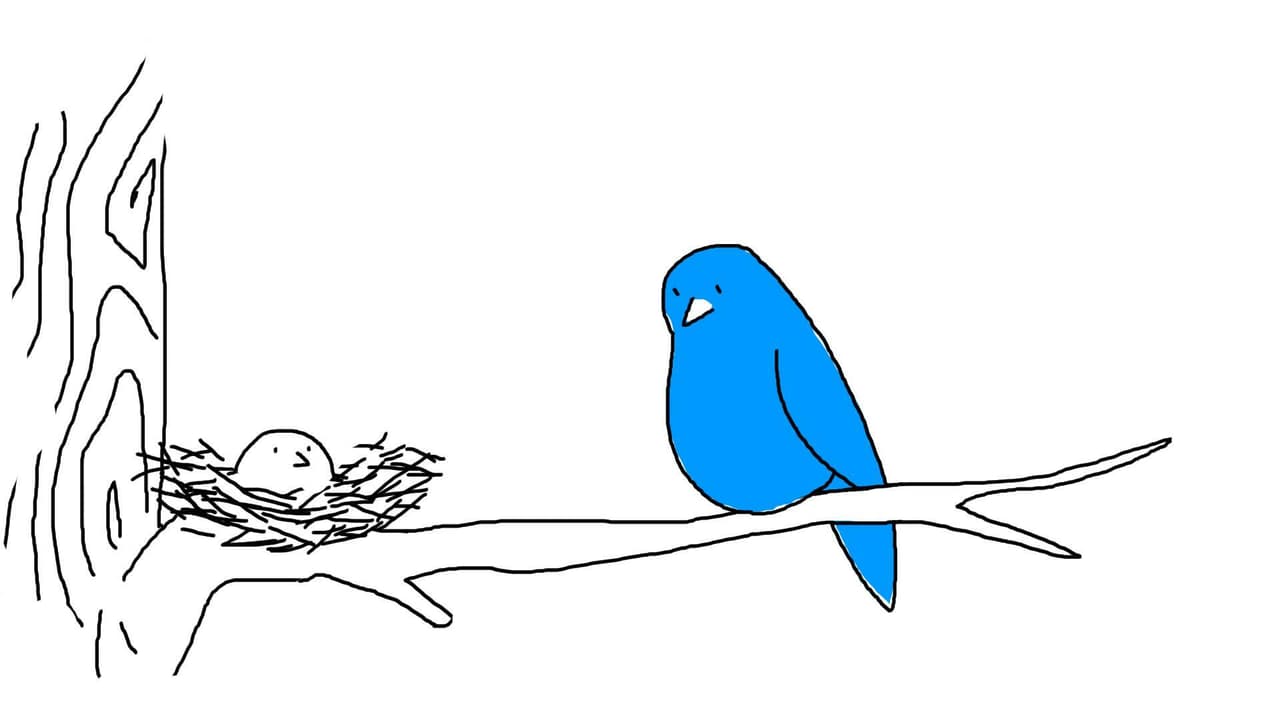 Hatchling (Chips)