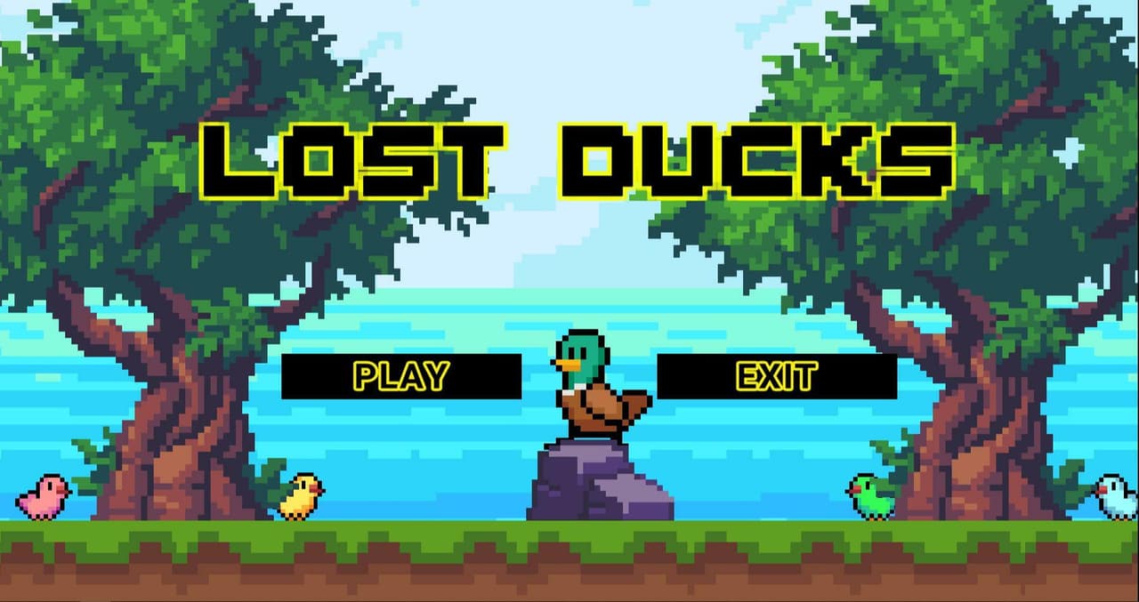 LOST DUCKS screenshot 3