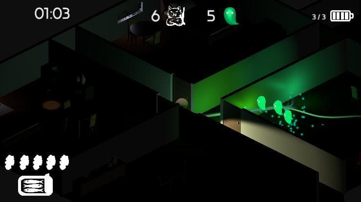 Cat Horror Story - Hotel
