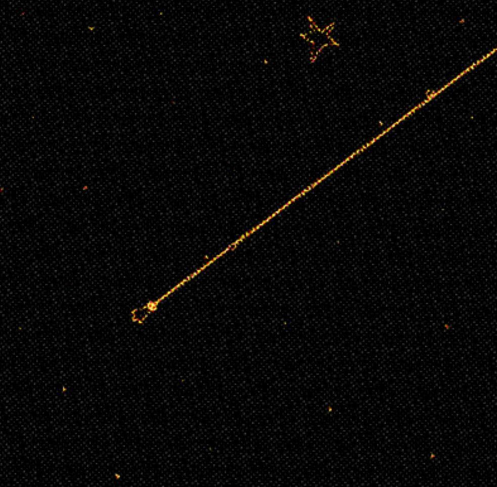 SPACEBIRD screenshot 3