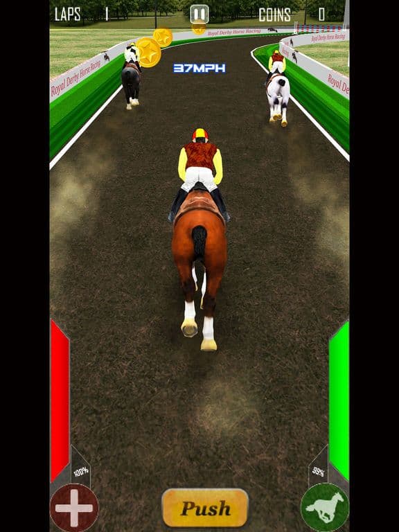 Royal Derby Horse Racing screenshot 5