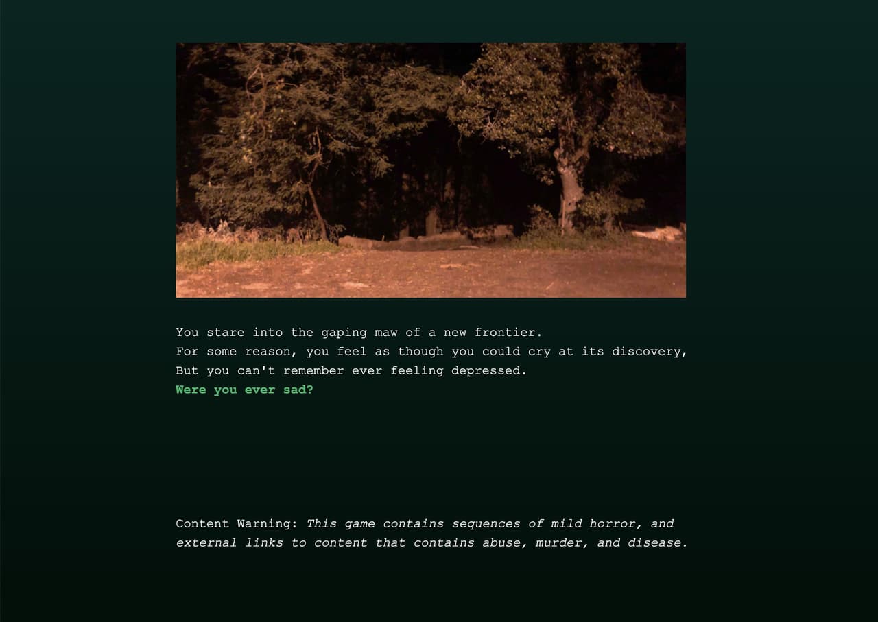 The Forest We Deserve screenshot 3