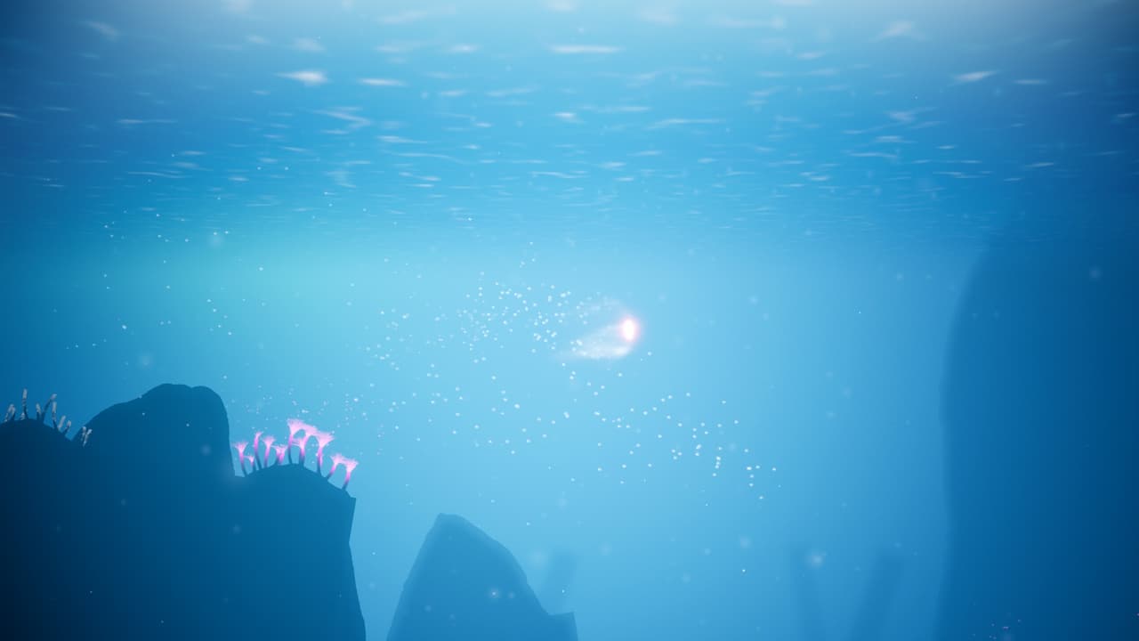 Koral screenshot 5