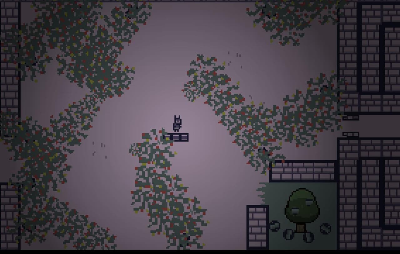 Fruit of Hydrangea screenshot 2