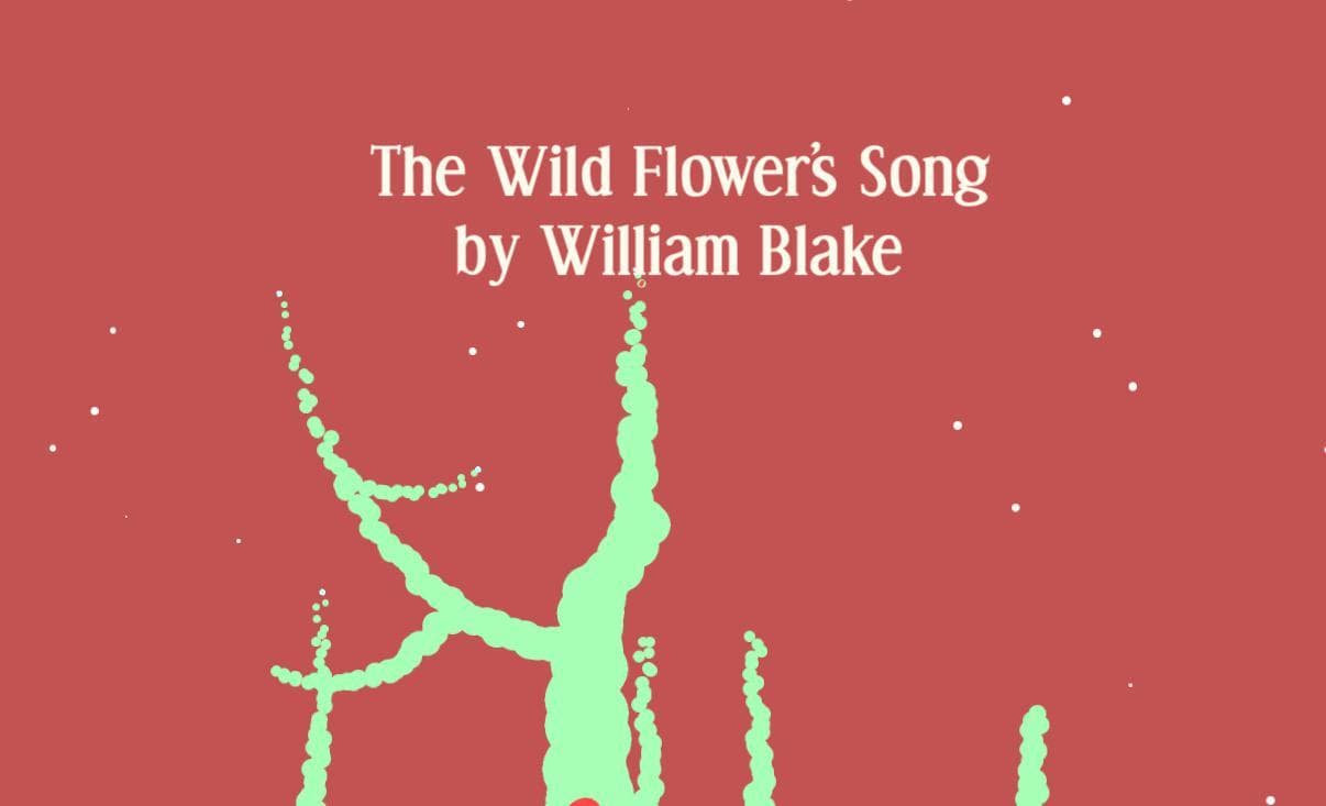 The Wild Flowers Song