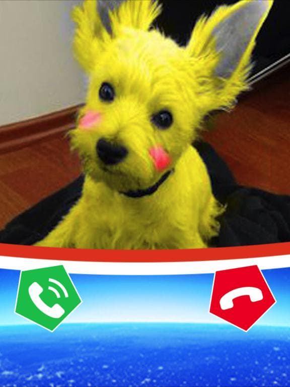 Pretty Puppy Dog Calling You! screenshot 2