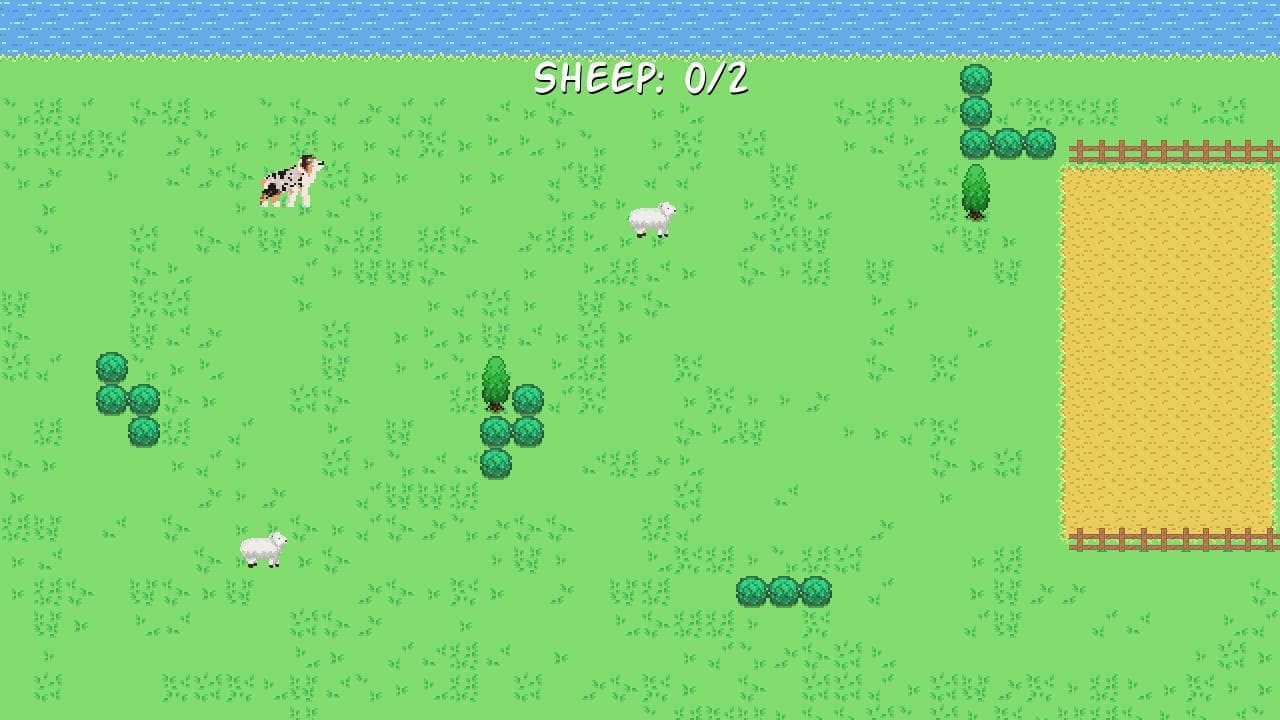 A Dogs Dreams