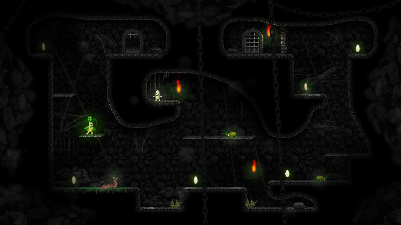 Courgettes & Seeds screenshot 2