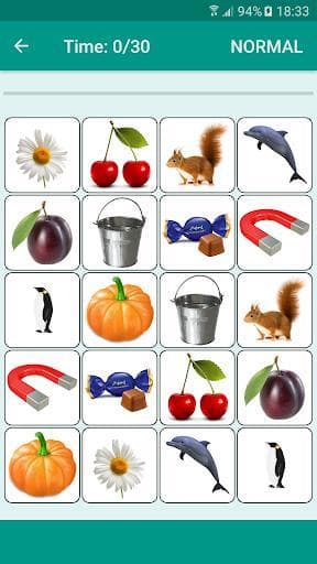 Brain game. Picture Match. screenshot 4